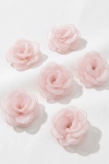 Professional_high-end_product_photography_of_six_d-1776772702651.png