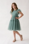 Change_the_dress_color_to_match_the_sage_green-tea-1781622657962.png