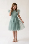 Change_the_dress_color_to_match_the_sage_green-tea-1781622668436.png