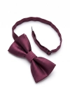 E-commerce_product_photo_of_the_burgundy_bow_tie_f-1792591751044.png