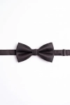 Edit_this_reference_product_photo_change_ONLY_the-1792592628928.png